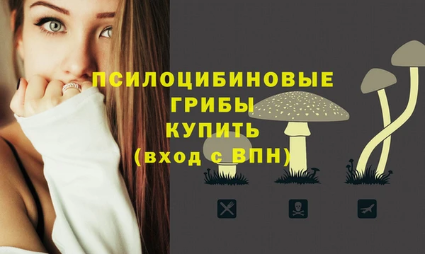 молекула духа Белокуриха