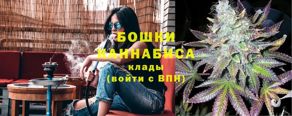 молекула духа Белокуриха