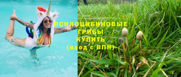 молекула духа Белокуриха