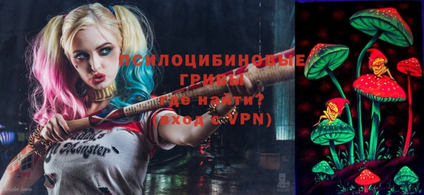 мдпв Беломорск