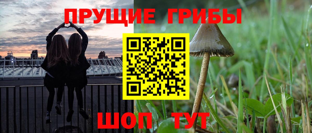 Псилоцибиновые грибы мухоморы Ейск